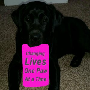 the-life-of-a-service-dog17