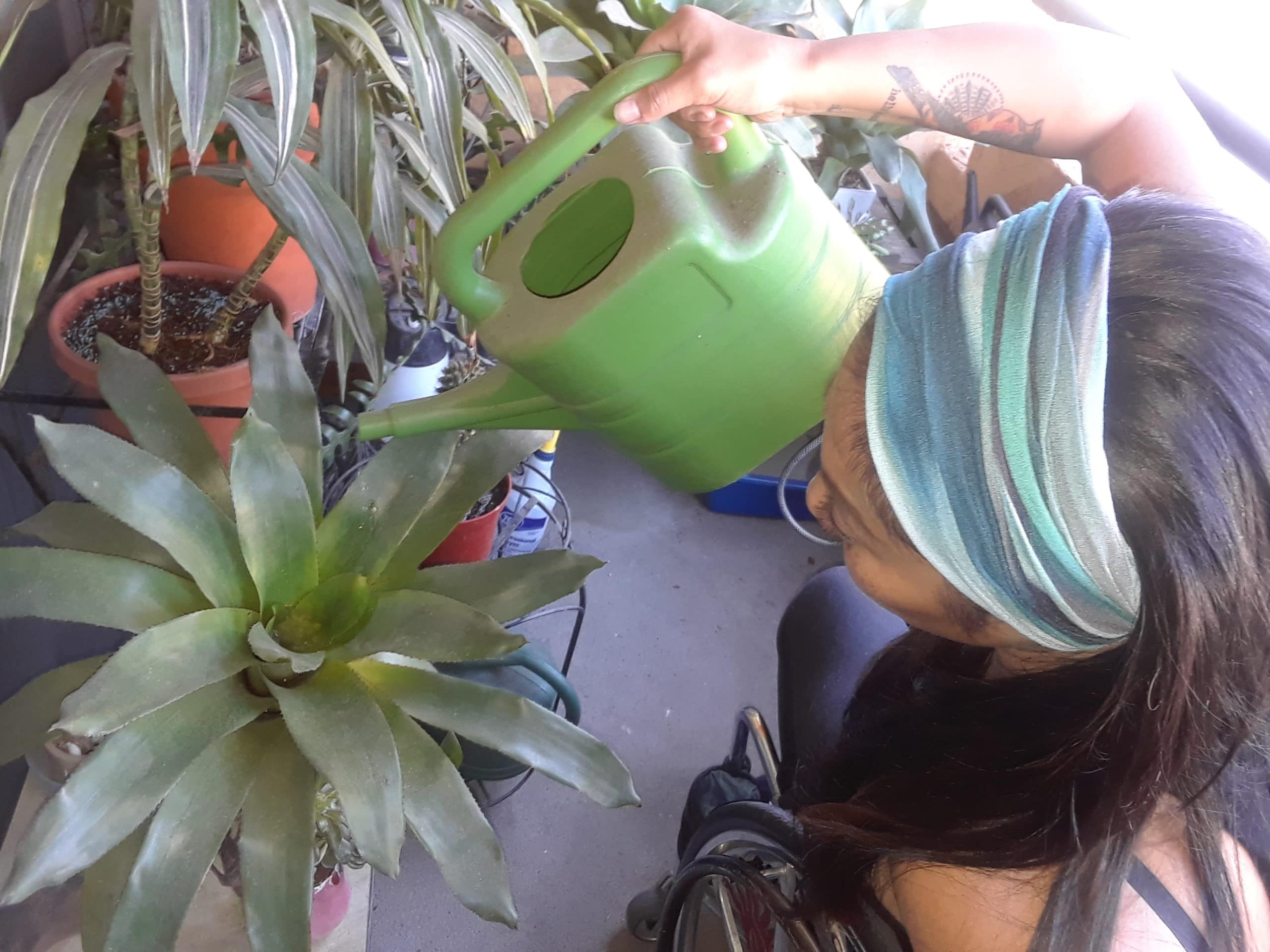 Hydred waters a bromeliad on her balcony.