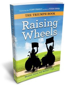 The Raising Wheels book cover. It features two shadows of people in wheelchairs against a grassy and blue-sky background.